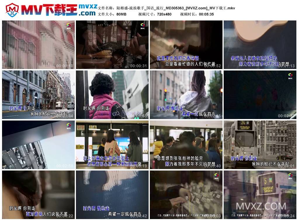 陆榕盛-流浪歌手_国语_流行_MD305363